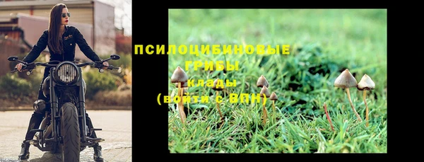 дмт Белокуриха