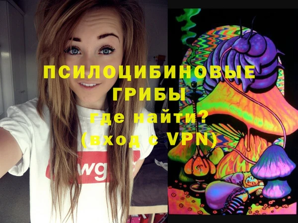 дмт Белокуриха
