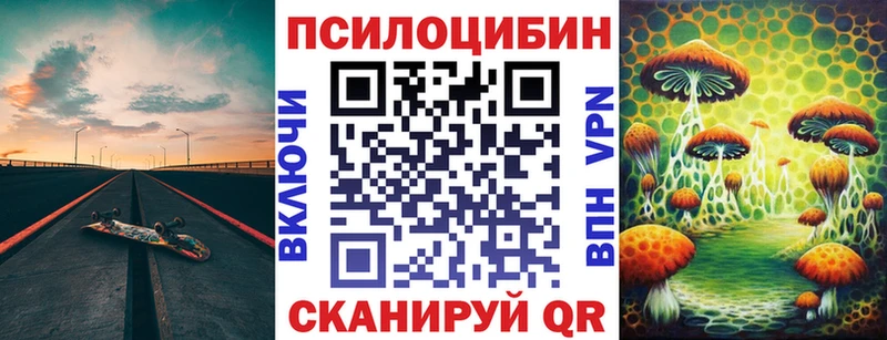 Купить Вичуга Галлюциногенные грибы мицелий